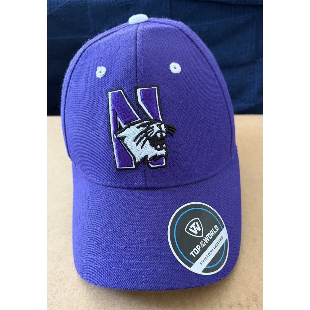 Top of the World Northwestern‎ Wildcats Hat Purple Adjustable NCAA Cap NU Logo